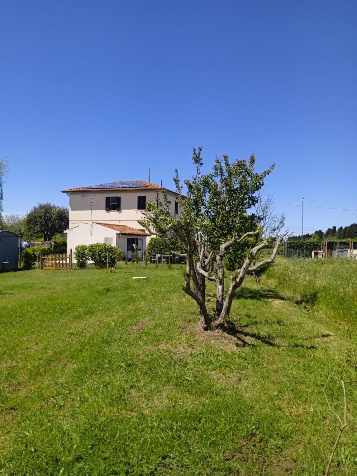 Rosignano Marittimo Rosa Bianca Apartamento Exterior foto